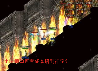 С��ʦ�����ɱ��е���裿