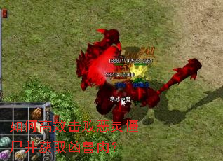 ��θ�Ч���ܶ��齩ʬ����ȡ�����⣿