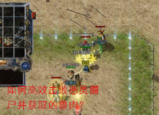 ��θ�Ч���ܶ��齩ʬ����ȡ�����⣿