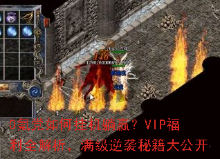 0봵���ιһ���Ӯ��VIP����ȫ������������Ϯ�ؼ��󹫿�