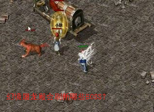 �þ��������ˢ����ЩBOSS��