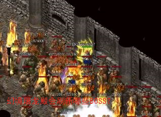 �þ��������ˢ����ЩBOSS��