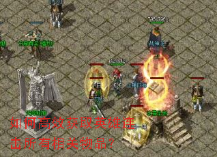��θ�Ч��ȡӢ���������������Ʒ��