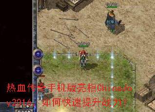 ��Ѫ�����ֻ�������ChinaJoy2016����ο�������ս����