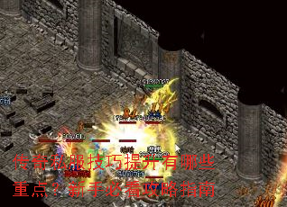����˽��������������Щ�ص㣿���ֱؿ�����ָ��