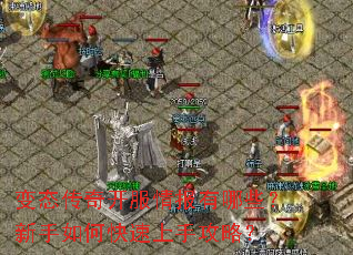 ��̬���濪���鱨����Щ��������ο������ֹ��ԣ�