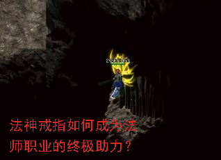 �����ָ��γ�Ϊ��ʦְҵ���ռ�������