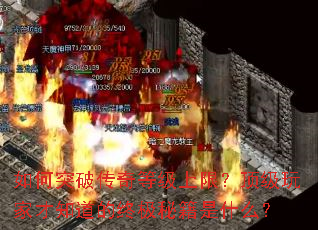 ���ͻ�ƴ���ȼ����ޣ�������Ҳ�֪�����ռ��ؼ���ʲô��