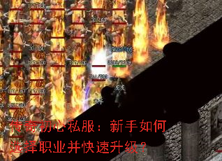 �������˽�����������ѡ��ְҵ������������
