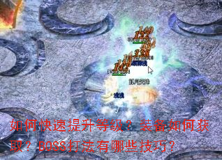 ��ο��������ȼ���װ����λ�ȡ��BOSS������Щ���ɣ�