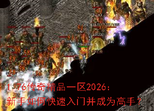 1.76���澫Ʒһ��2026��������ο������Ų���Ϊ���֣�