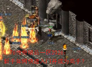 1.76���澫Ʒһ��2026��������ο������Ų���Ϊ���֣�