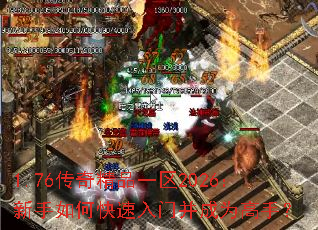 1.76���澫Ʒһ��2026��������ο������Ų���Ϊ���֣�