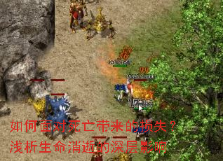 ������������������ʧ��ǳ���������ŵ����Ӱ��