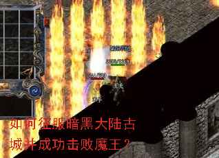 ����������ڴ�½�ųǲ��ɹ�����ħ����