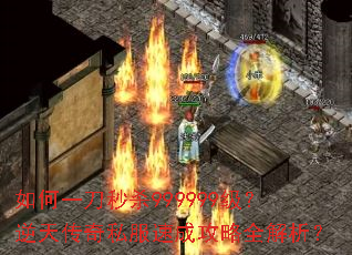 ���һ����ɱ999999�������촫��˽���ٳɹ���ȫ������