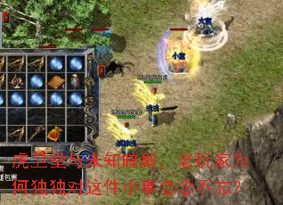 虎卫堂与未知暗殿,老玩家为何独独对这件小事念念不忘? 虎卫堂与未知暗殿,老玩家为何独独对这件小事念念不忘?