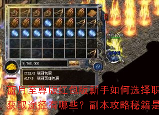蓝月至尊版红包版新手如何选择职业?装备获取途径有哪些?副本攻略秘籍是什么? 蓝月至尊版红包版新手如何选择职业?装备获取途径有哪些?副本攻略秘籍是什么?