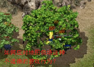 ���Ӧ�Ե�ͼ�������ֲ����µ���Ϸ��Ϊ��