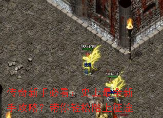 传奇新手必看:史上最全新手攻略?带你轻松踏上征途 传奇新手必看:史上最全新手攻略?带你轻松踏上征途