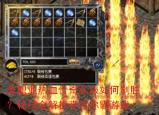 单职业热血传奇私服如何制胜?秘技全解析带你称霸游戏 单职业热血传奇私服如何制胜?秘技全解析带你称霸游戏