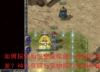 如何探索仙侣奇缘私服?隐藏任务如何触发?神装获取与宠物培养有哪些秘诀? 如何探索仙侣奇缘私服?隐藏任务如何触发?神装获取与宠物培养有哪些秘诀?