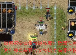 如何探索仙侣奇缘私服?隐藏任务如何触发?神装获取与宠物培养有哪些秘诀? 如何探索仙侣奇缘私服?隐藏任务如何触发?神装获取与宠物培养有哪些秘诀?