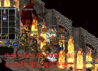 传奇私服开服全攻略?新手如何从零到满级不迷茫 传奇私服开服全攻略?新手如何从零到满级不迷茫