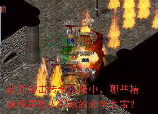 新开合击传奇私服中,哪些精英怪是散人玩家的必争之宝? 新开合击传奇私服中,哪些精英怪是散人玩家的必争之宝?