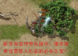 新开合击传奇私服中,哪些精英怪是散人玩家的必争之宝? 新开合击传奇私服中,哪些精英怪是散人玩家的必争之宝?