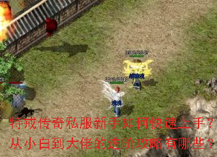 特戒传奇私服新手如何快速上手?从小白到大佬的进阶攻略有哪些? 特戒传奇私服新手如何快速上手?从小白到大佬的进阶攻略有哪些?