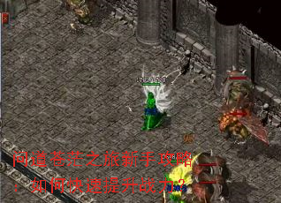 问道苍茫之旅新手攻略:如何快速提升战力? 问道苍茫之旅新手攻略:如何快速提升战力?