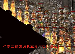 �����������ű�������α�д��