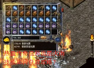 ��Ѫ���淨ʦ���ǻ��꼼����λ�ȡ���ԣ�