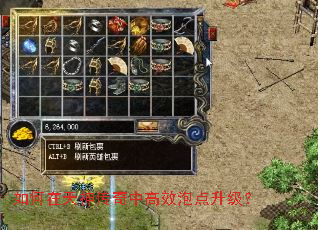 如何在天神传奇中高效泡点升级? 如何在天神传奇中高效泡点升级?