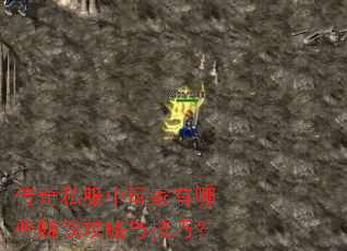 传奇私服中玩家有哪些赚钱攻略与技巧? 传奇私服中玩家有哪些赚钱攻略与技巧?