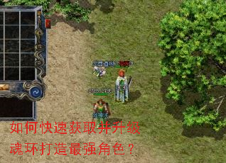 如何快速获取并升级魂环打造最强角色? 如何快速获取并升级魂环打造最强角色?