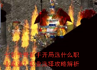 �߽��������ֿ���ѡʲôְҵ��ǿ��ְҵѡ���Խ���