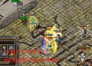如何在195传奇sf中快速提升角色等级? 如何在195传奇sf中快速提升角色等级?