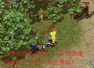 传奇私服怀旧版中,如何快速提升战士的烈火剑法等级? 传奇私服怀旧版中,如何快速提升战士的烈火剑法等级?