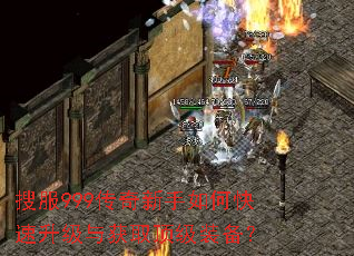 搜服999传奇新手如何快速升级与获取顶级装备? 搜服999传奇新手如何快速升级与获取顶级装备?