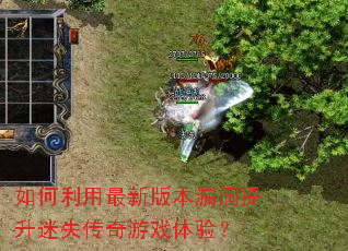 ����������°汾©��������ʧ������Ϸ���飿