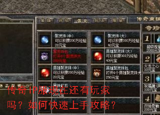 传奇IP服现在还有玩家吗?如何快速上手攻略? 传奇IP服现在还有玩家吗?如何快速上手攻略?