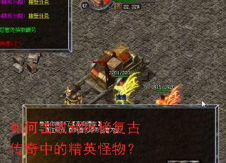 ��λ��ܷ���񸴹Ŵ����еľ�Ӣ���