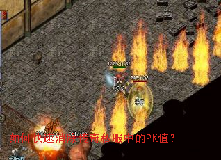 ��ο�����������˽���е�PKֵ��