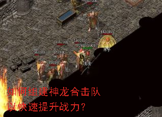 如何组建神龙合击队以快速提升战力? 如何组建神龙合击队以快速提升战力?