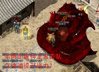 如何组建神龙合击队以快速提升战力? 如何组建神龙合击队以快速提升战力?