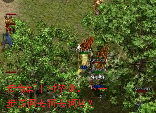 传奇新手村毕业,下一步该何去何去何从? 传奇新手村毕业,下一步该何去何去何从?