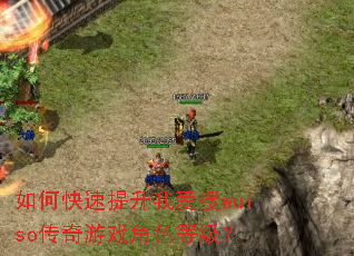 如何快速提升我爱搜wuiso传奇游戏角色等级? 如何快速提升我爱搜wuiso传奇游戏角色等级?