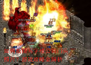 �������д��¥��˾��ͷ��Ƭ����Ϸ����ȫ����